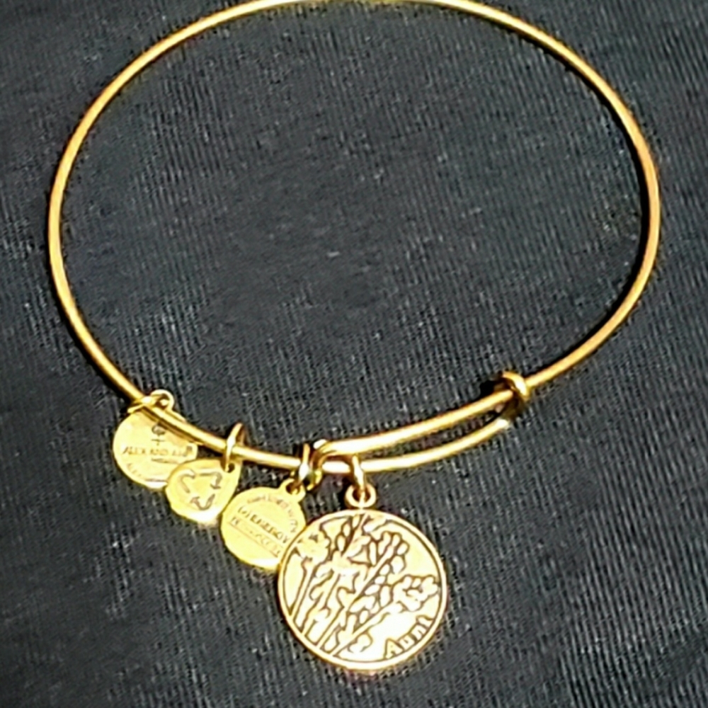 Alex & Ani "Aunt" Rose Goldtone Bracelet - Picture 9 of 9